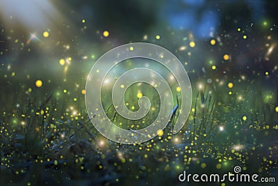 Abstract and magical image of Firefly flying in the night forest. Fairy tale concept. Stock Photo