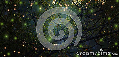 Abstract and magical image of Firefly flying in the night forest Stock Photo