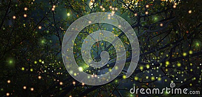 Abstract and magical image of Firefly flying in the night forest. Fairy tale concept. Stock Photo