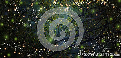 Abstract and magical image of Firefly flying in the night forest Stock Photo