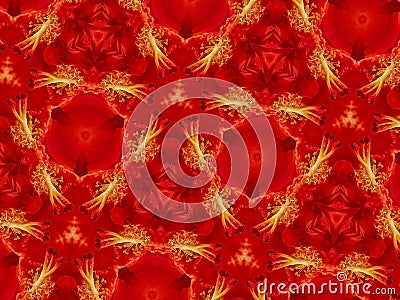 Abstract mandala background flowers Stock Photo