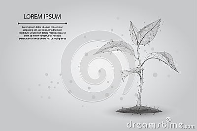 Abstract mash line and point plant sprout ecological abstract concept. Save planet and nature, environment polygon Vector Illustration