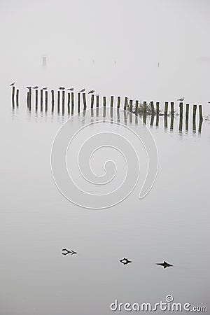 Abstract Minimalistic Landscape Stock Photo