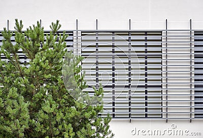 Abstract modern architecture detail with pine tree in foreground Stock Photo
