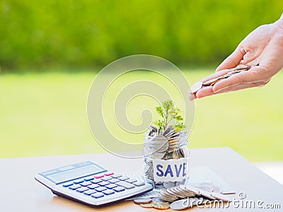 Abstract money saving small baby tree with glass jar Coins Stock Photo