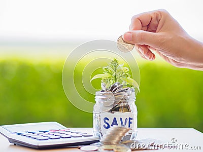 Abstract money saving small baby tree with glass jar Coins Stock Photo