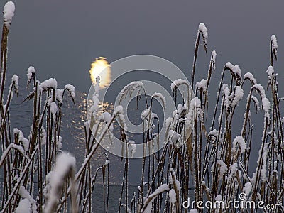 Abstract moonlit gloss of water, snowy reeds, Stock Photo