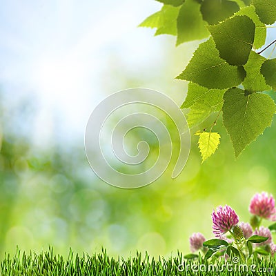 Abstract natural backgrounds Stock Photo