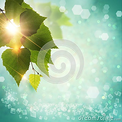 Abstract natural backgrounds Stock Photo