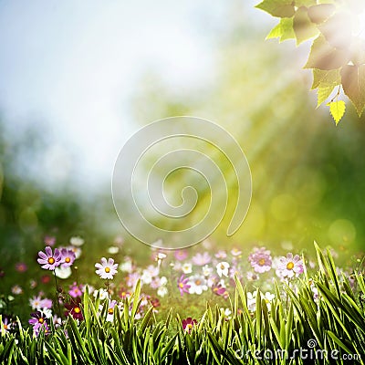 Abstract natural backgrounds Stock Photo