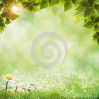 Abstract natural backgrounds Stock Photo