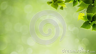 Abstract natural backgrounds Stock Photo