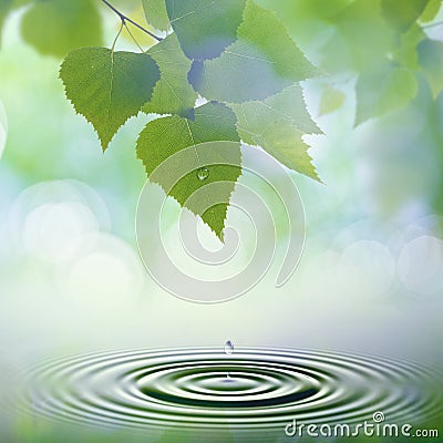 Abstract natural backgrounds. Stock Photo