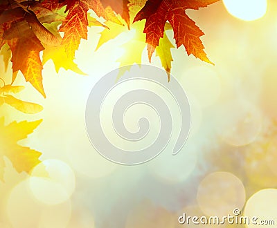 Abstract nature autumn Background with yellow leaves Stock Photo