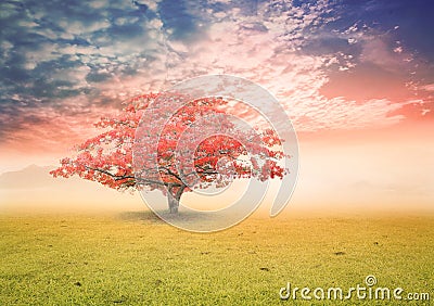 Abstract nature background concept Stock Photo