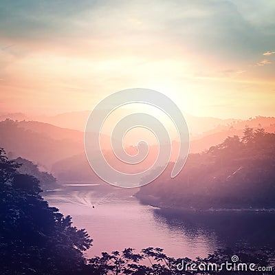 Abstract nature concept Stock Photo