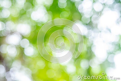 Abstract nature green blur background with bokeh Stock Photo