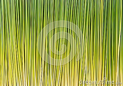 Abstract Nature green vertical texture background with papyrus plant Stock Photo