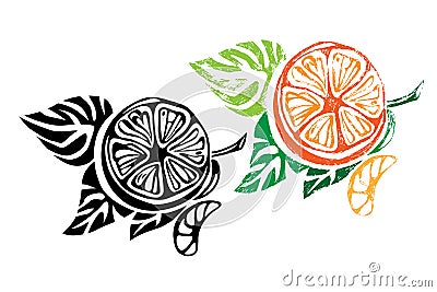 Abstract orange with leaf on white background. Citrus logo template. Vector Illustration