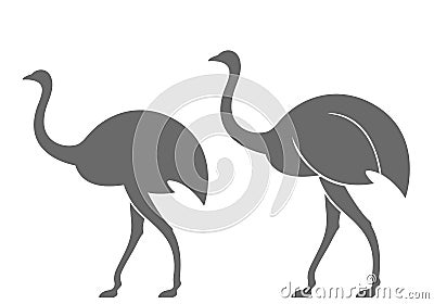 Abstract Ostrich Vector Illustration