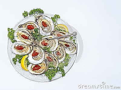 Abstract Oysters on the Half Shell Stock Photo