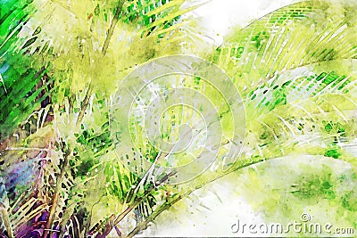 Abstract painting of tropical palm leaves, nature image, digital watercolor illustration, art for background Cartoon Illustration