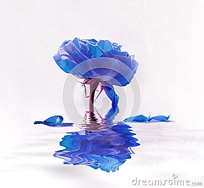 Abstract Pantone Classic Blue Mirror Image Rose Flowerscape Stock Photo