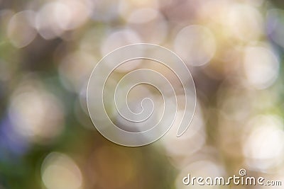 Abstract pastel green bokeh with light circles of defocused blur Stock Photo