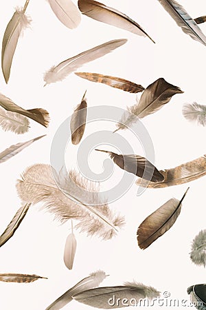 Abstract pattern with falling feathers Stock Photo