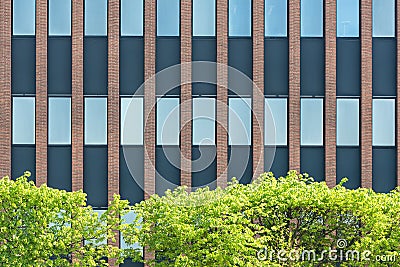 Abstract pattern image of skyscraper windows with green trees Stock Photo