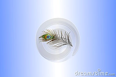 Abstract peacock feather texture background Stock Photo