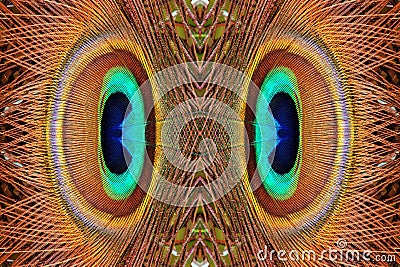 Abstract peacock feathers pattern Stock Photo