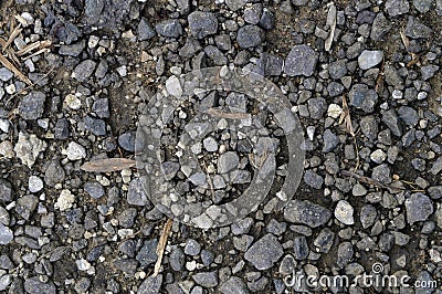 Abstract Pebbles Textures surface background closeup Stock Photo