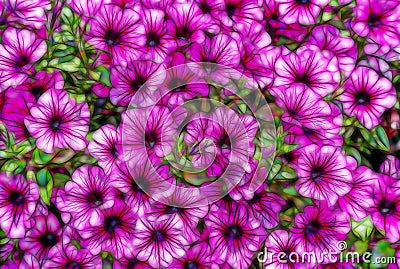 Abstract Petunia flowers in the garden Stock Photo