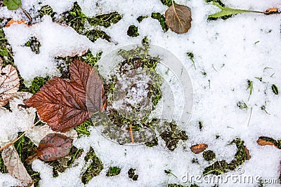 Abstract phot from the fallen first snow on the ground. Stock Photo