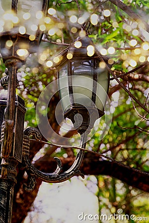 Abstract photo of antique street lantern among tree branches. vintage filtered image with glitter lights Stock Photo