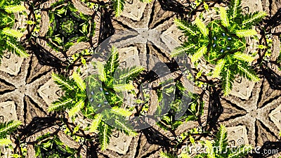 Abstract photo leaves pattern Stock Photo