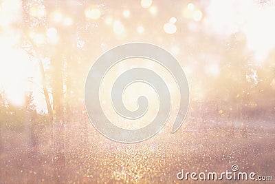 abstract photo of light burst among trees and glitter bokeh lights. image is blurred and filtered Stock Photo