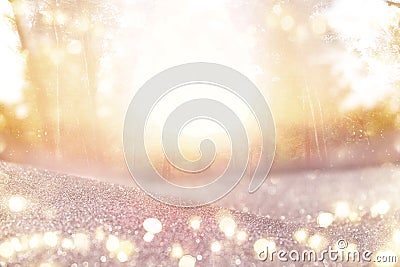 abstract photo of light burst among trees and glitter bokeh lights. image is blurred and filtered Stock Photo