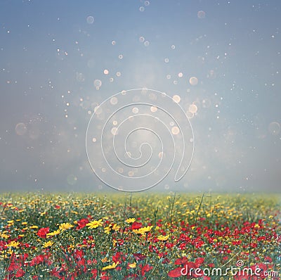 Abstract photo of wild flower field and bright bokeh lights. cross proccess effect Stock Photo