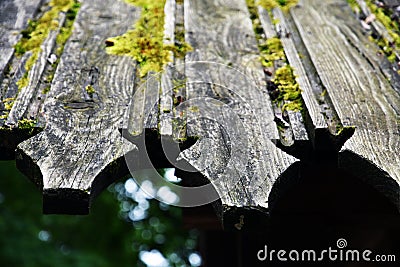 Abstract photo of wooden roof top covered by green moss Stock Photo