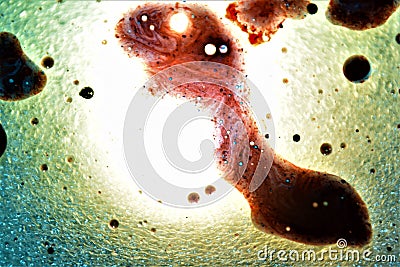 Abstract picture bright white light and organic shapes Stock Photo