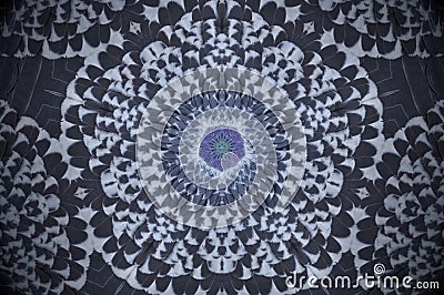 Abstract pigeon feathers mandala Stock Photo