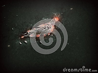 Abstract pigeon illustration - dark Cartoon Illustration