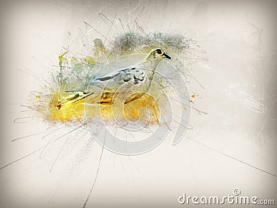 Abstract pigeon illustration Cartoon Illustration