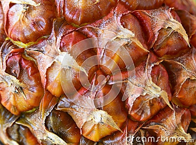 Abstract pineapple skin background texture.Cropped macro shot of tropical fruit peel close up. Stock Photo