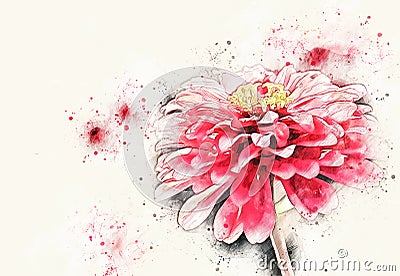 Abstract pink colorful shape on flower blooming watercolor illustration painting. Cartoon Illustration