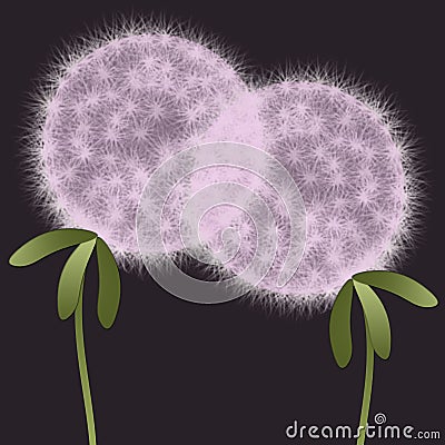 Abstract plants dandelions Stock Photo