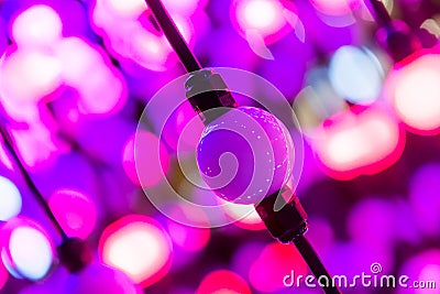 Abstract points of light, fantasy abstract technology background, Light colored balls in a space lit differently, selective Stock Photo