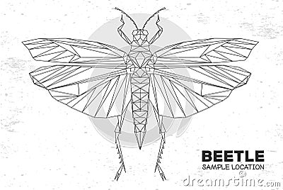 Abstract polygonal triangle grasshopper. Artistic Bug. Entomological illustration Vector Illustration